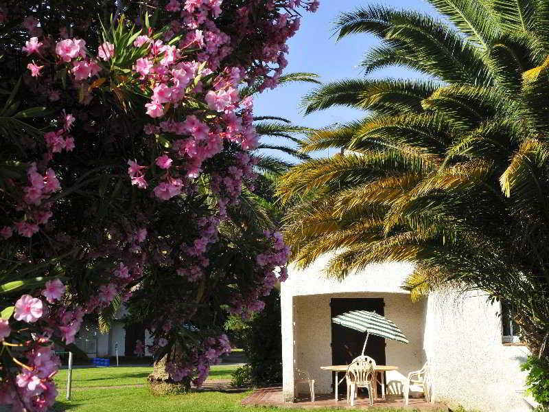 Hotel Le Domaine Du Mas Blanc By Popinns Alénya Εξωτερικό φωτογραφία