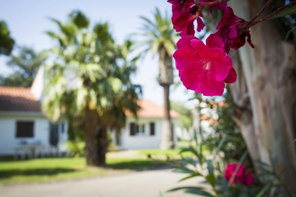 Hotel Le Domaine Du Mas Blanc By Popinns Alénya Εξωτερικό φωτογραφία